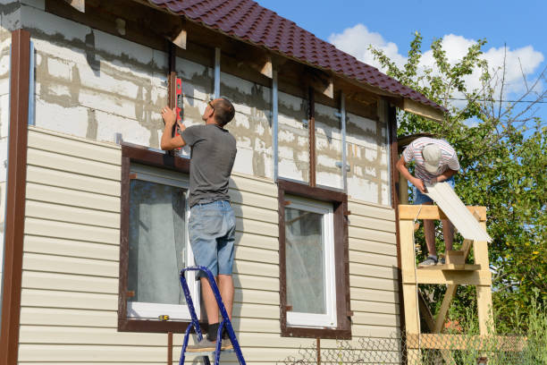 Best Custom Siding Design  in Conway, AR