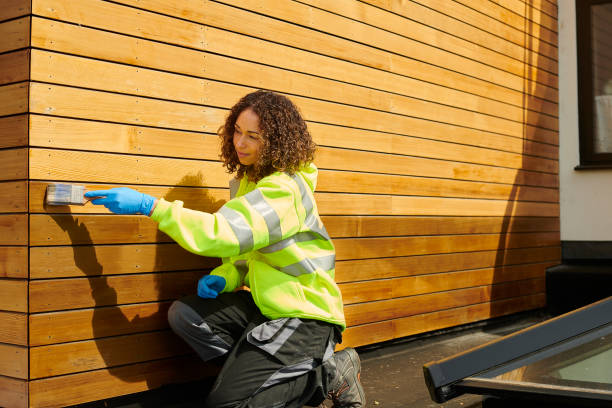 Best Custom Trim and Detailing for Siding  in Conway, AR